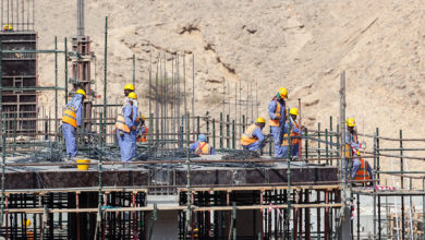 worker - construction - expat - building