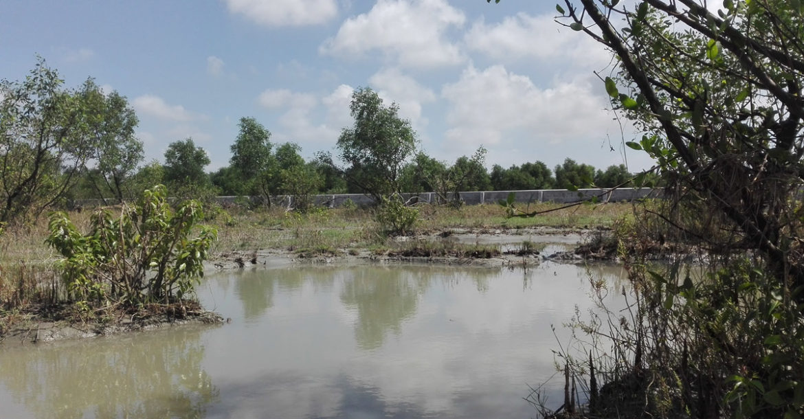 Latest International News : Will Bangladesh’s Bhasan Char become prison for Rohingyas?