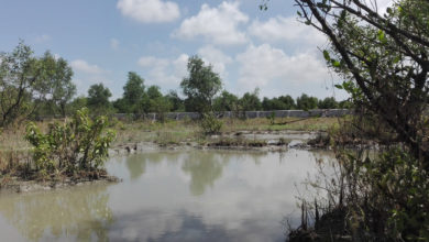 Latest International News : Will Bangladesh’s Bhasan Char become prison for Rohingyas?