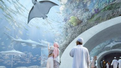 Oman Latest News : Entry fee reduced at Oman Aquarium