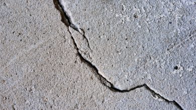 Latest International News : Earthquake rocks Nepal