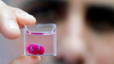 Latest International News : Scientists 3D-print heart with human tissue in world first