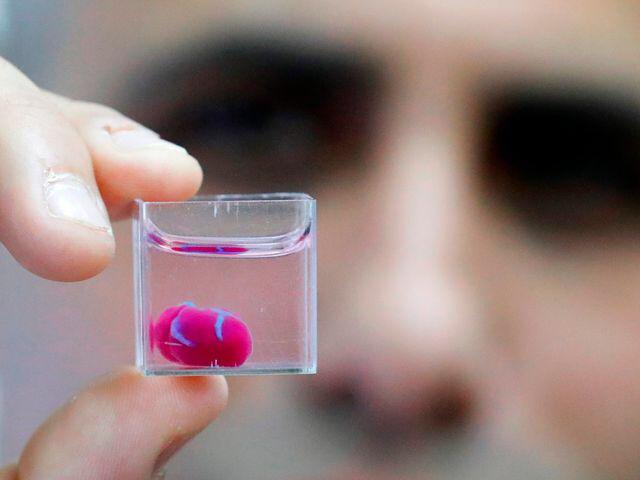 Latest International News : Scientists 3D-print heart with human tissue in world first