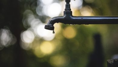 Latest International News : Arab states face water scarcity, says UN