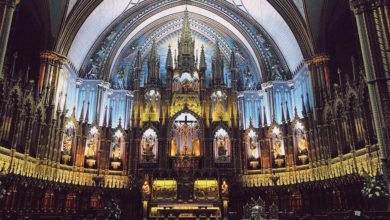 Latest International News : What was housed in 900-year-old Notre Dame Cathedral?