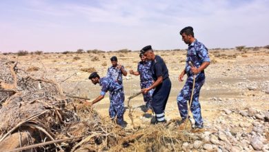 Oman Latest News : Oman floods: Four bodies of missing Indian family recovered in Wadi Bani Khalid