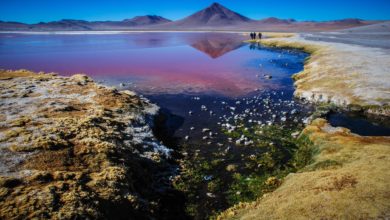Latest International News : 180 countries agree to stop plastic ending up in sea