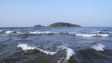 Oman Latest News : Oman's PACA monitoring tropical depression in Arabian Sea