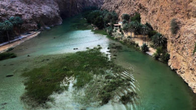 Oman Latest News : Oman holds roadshows in India to woo tourists