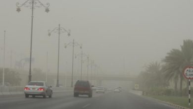 Dust and winds