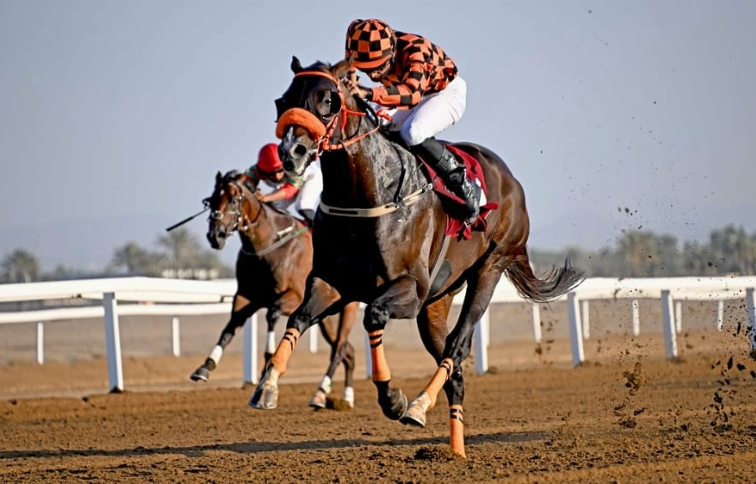 Horse Race
