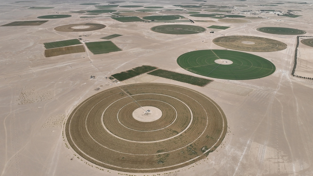 Oman’s food security investments reach RO 29 million by March 2026  