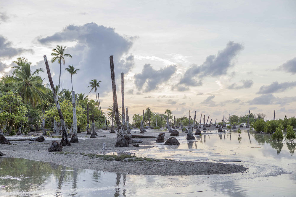 WMO forecasts possible El Niño return by mid-2026