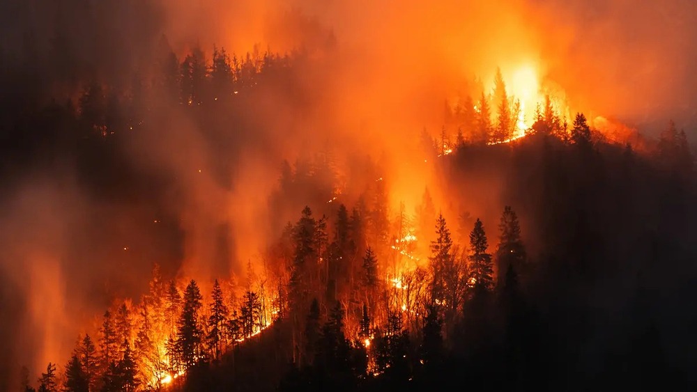 Massive forest fires sweep through southern France
